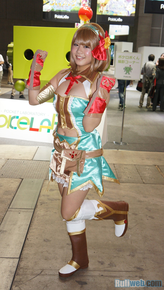 Chiêm ngưỡng showgirl tại Tokyo Game Show 2013 - Ảnh 34