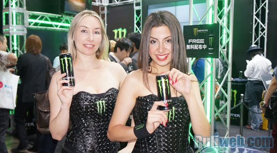 Chiêm ngưỡng showgirl tại Tokyo Game Show 2013 - Ảnh 39