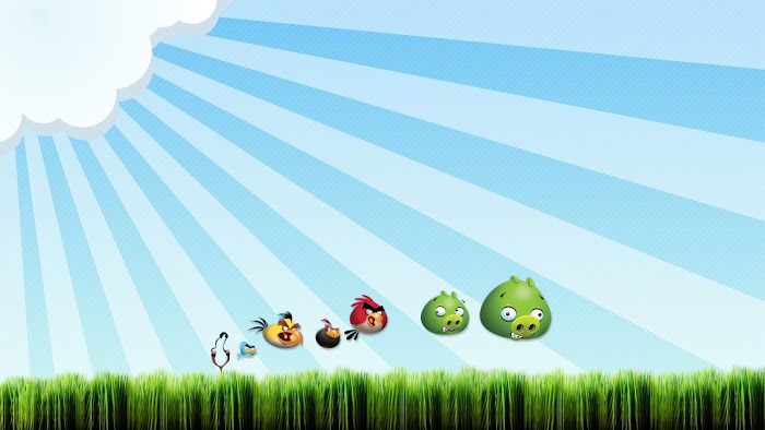 Hình nền về những chú chim điên trong Angry Birds - Ảnh 13