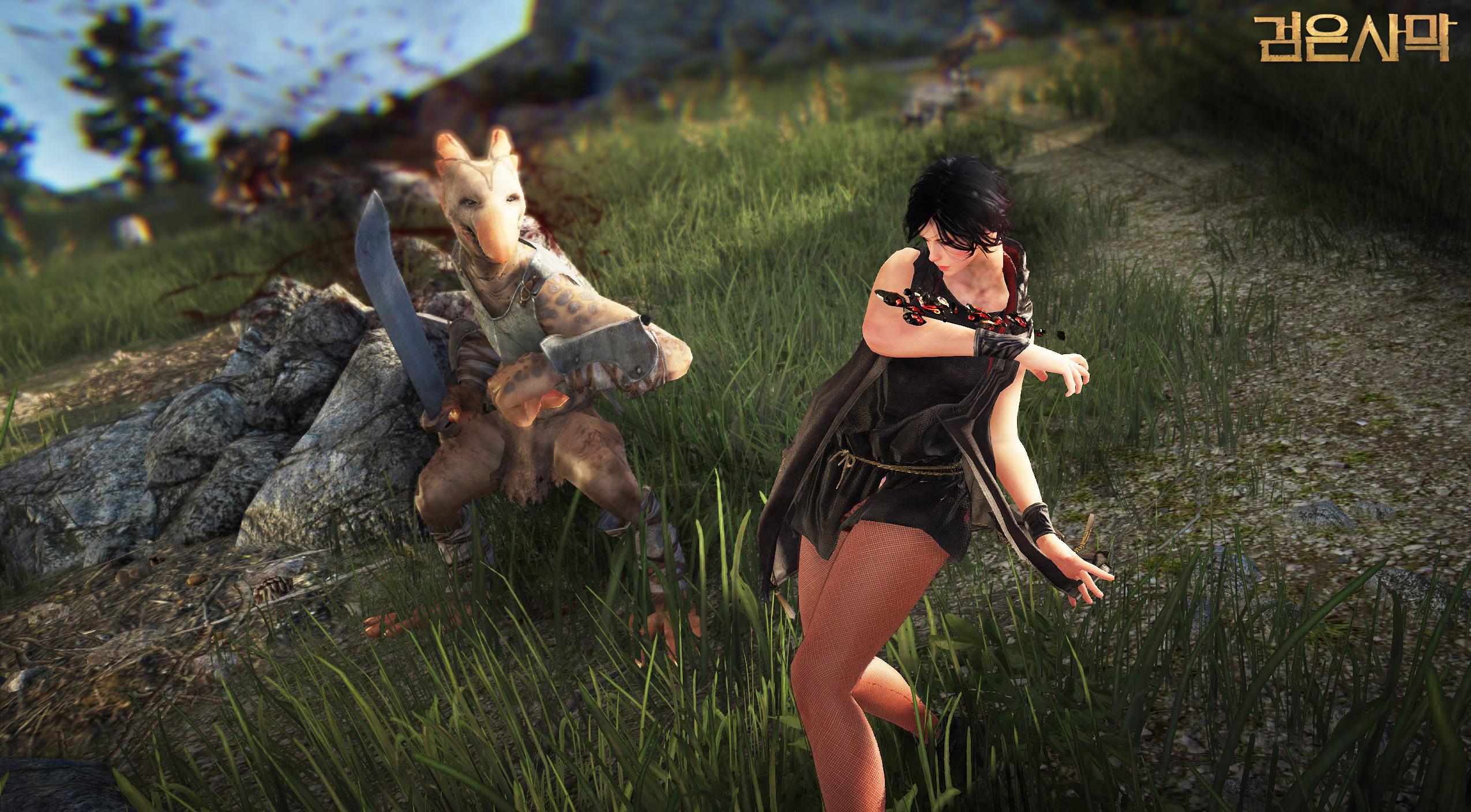 Daum Games hé lộ phiên bản CBT 3 của Black Desert - Ảnh 18