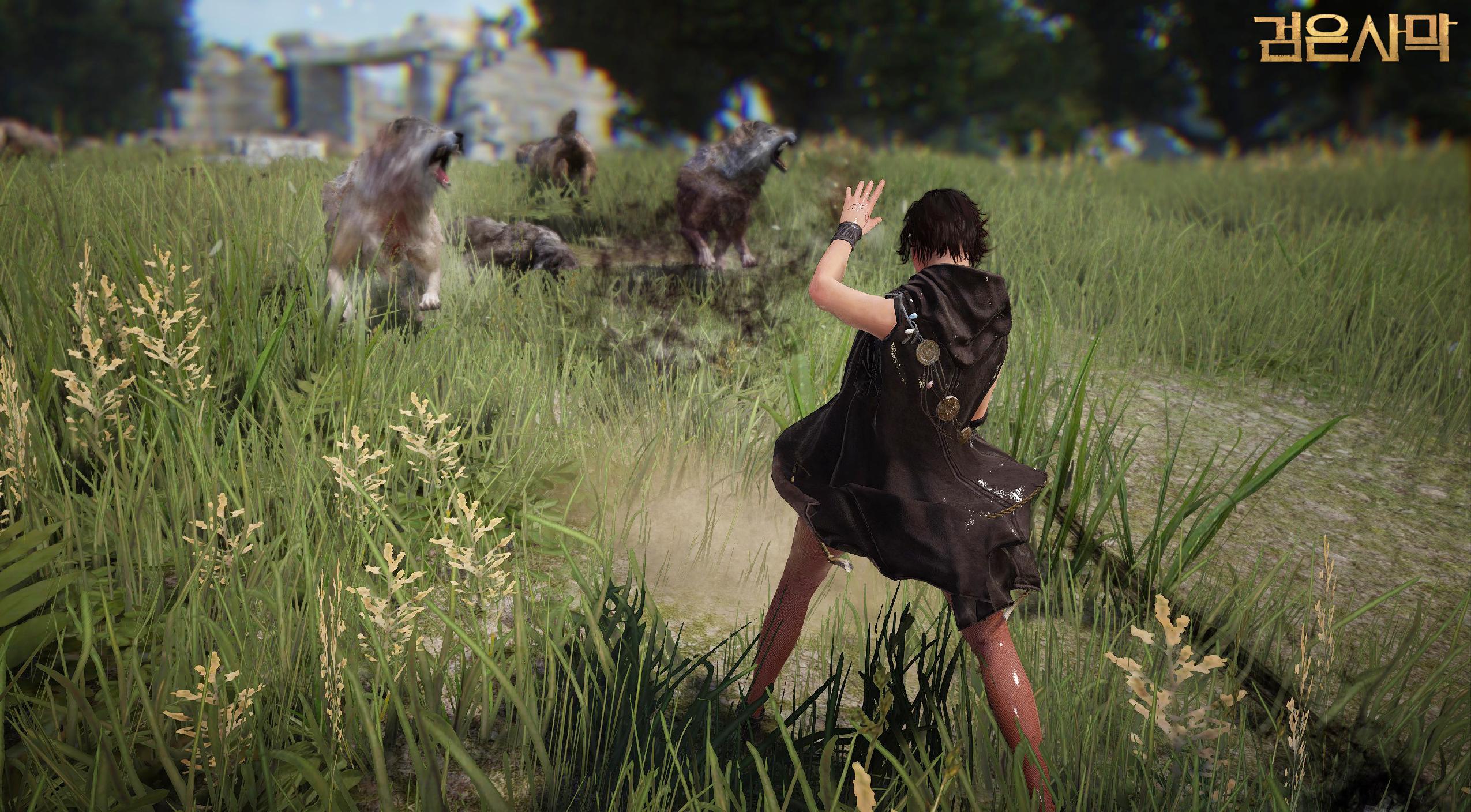 Daum Games hé lộ phiên bản CBT 3 của Black Desert - Ảnh 12