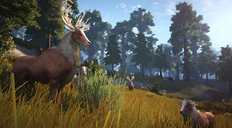 Black Desert mở cửa Closed Beta vào 17/10/2013 - Ảnh 96