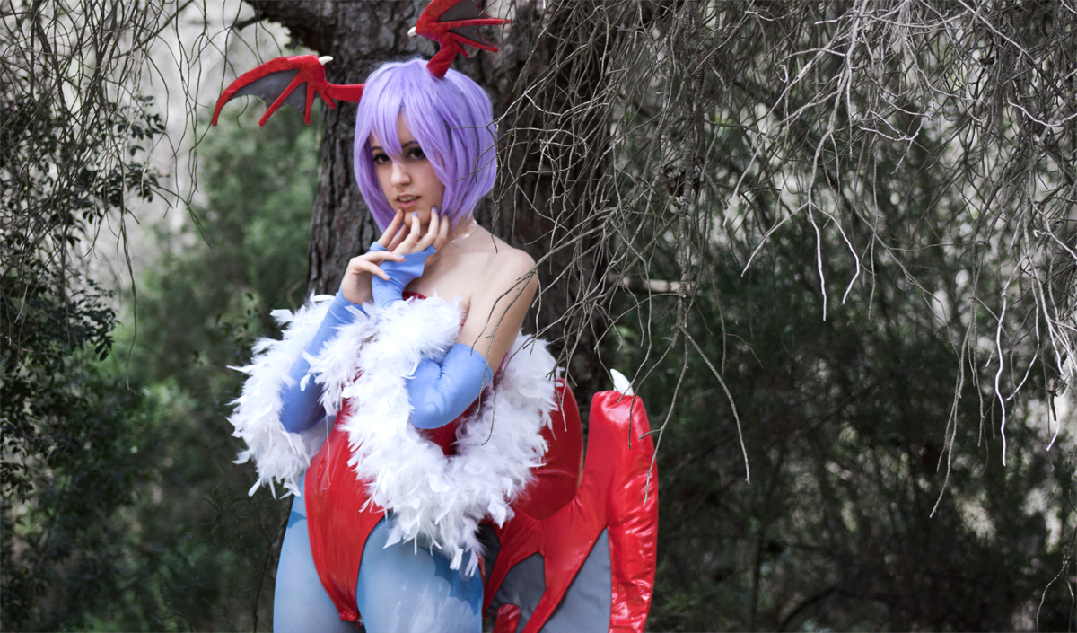 Ma cà rồng Lilith xinh đẹp trong Darkstalkers - Ảnh 38