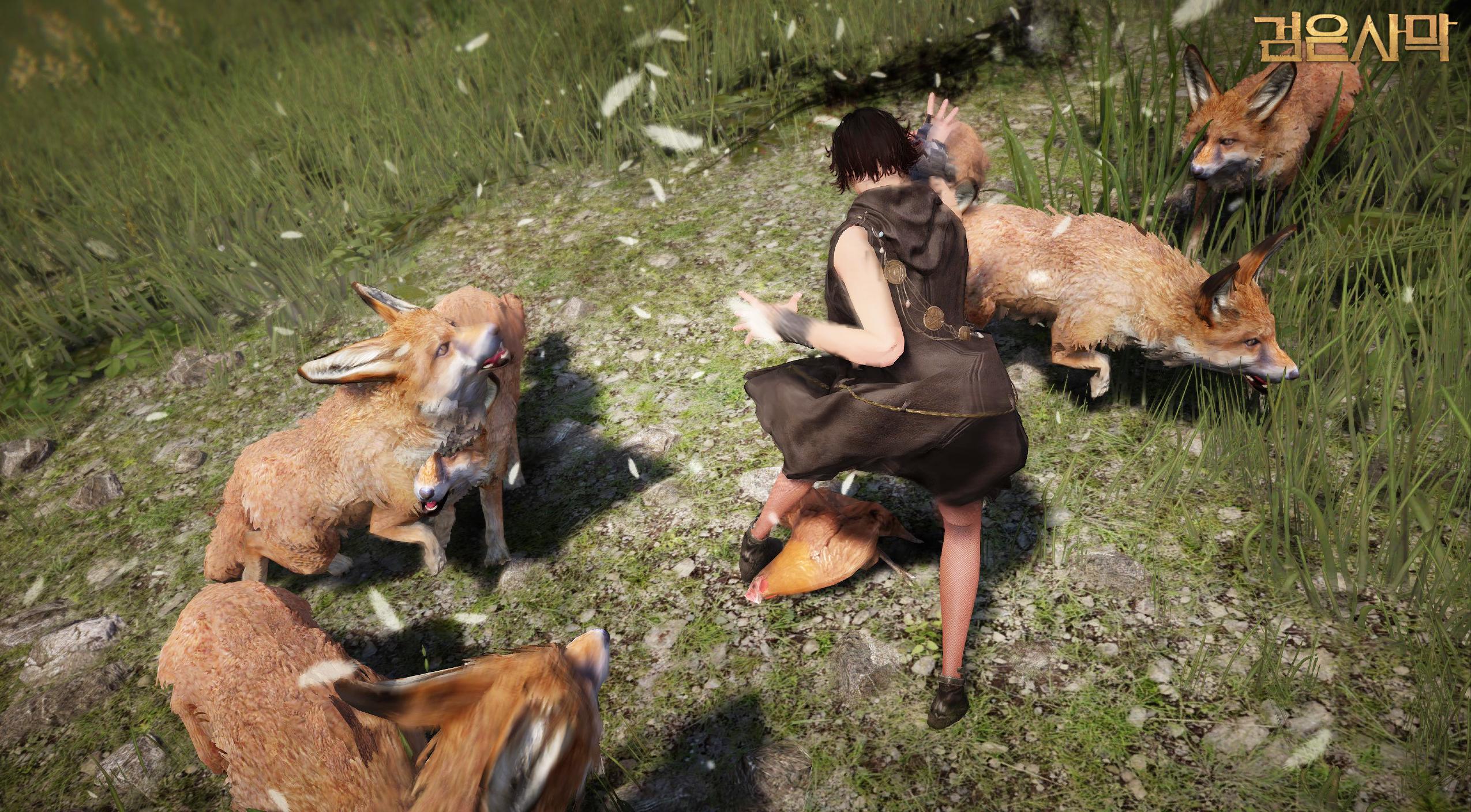 Daum Games hé lộ phiên bản CBT 3 của Black Desert - Ảnh 11