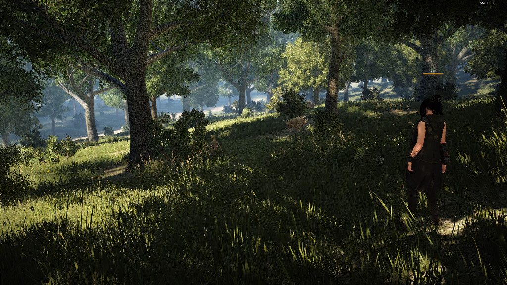 Black Desert: Hình ảnh "chất lừ" trong ngày đầu CBT - Ảnh 22