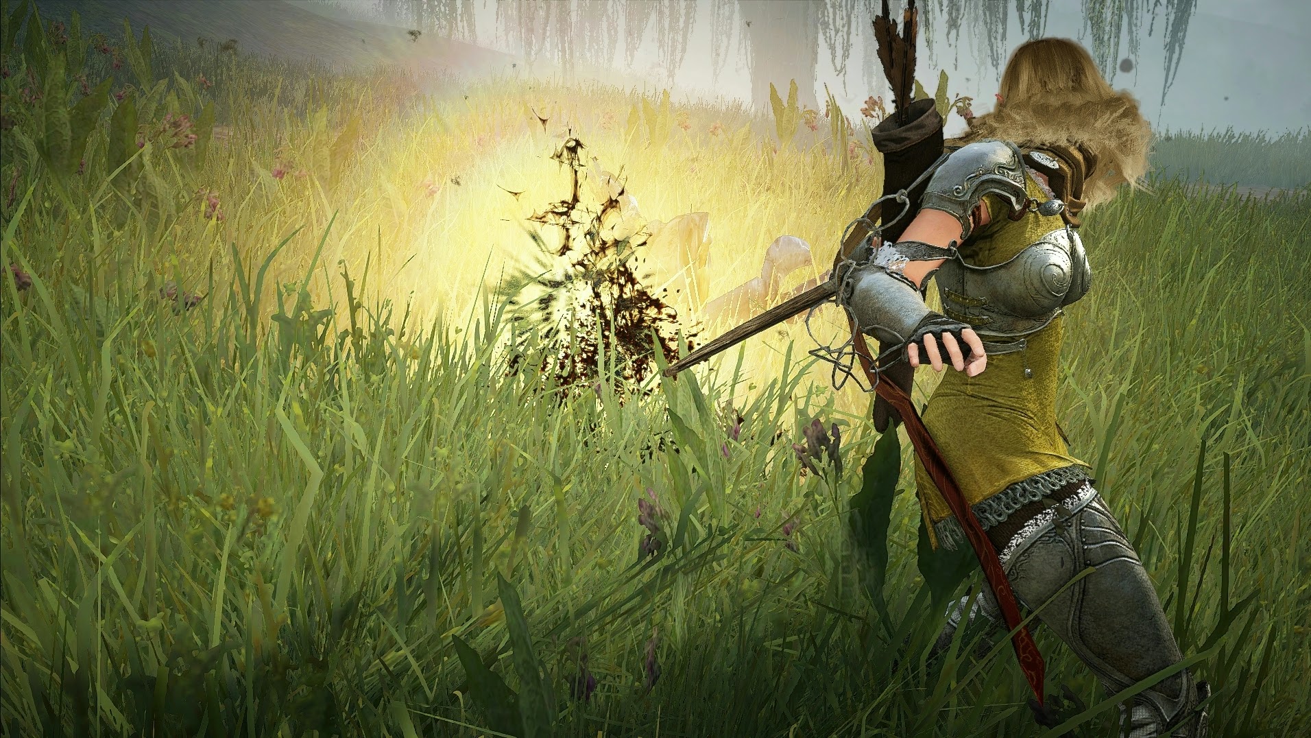 Mãn nhãn với loạt ảnh Full HD của Black Desert - Ảnh 3