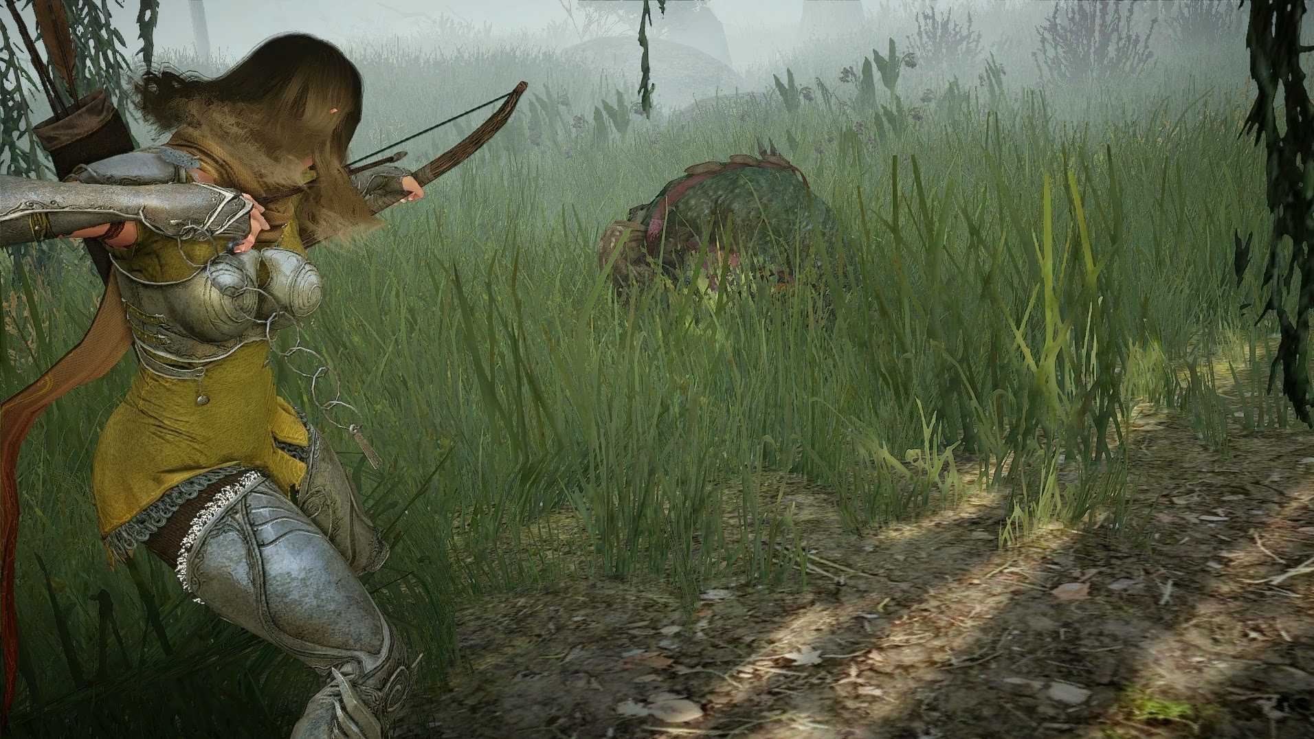 Mãn nhãn với loạt ảnh Full HD của Black Desert - Ảnh 4