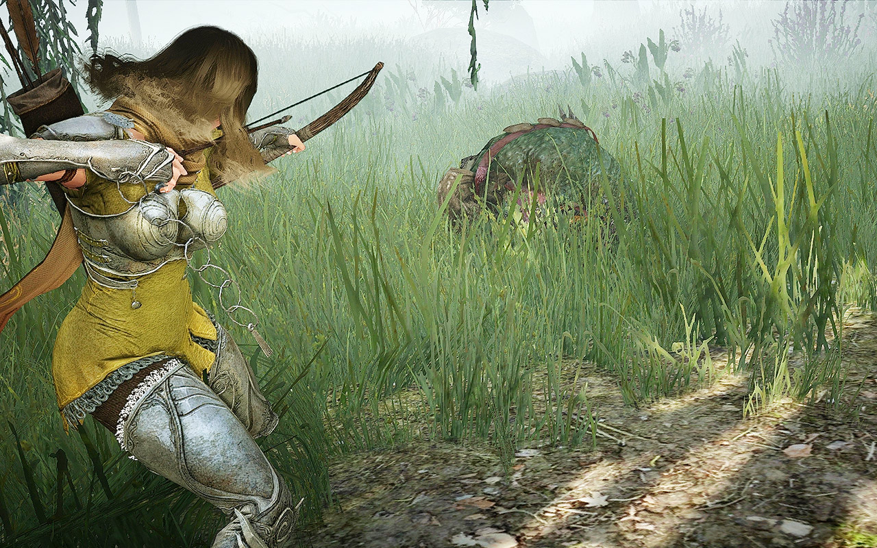 Chiêm ngưỡng Black Desert trước thềm Closed Beta - Ảnh 2