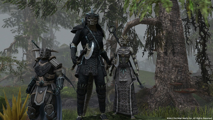 Hình ảnh trong game của The Elder Scroll Online - Ảnh 4