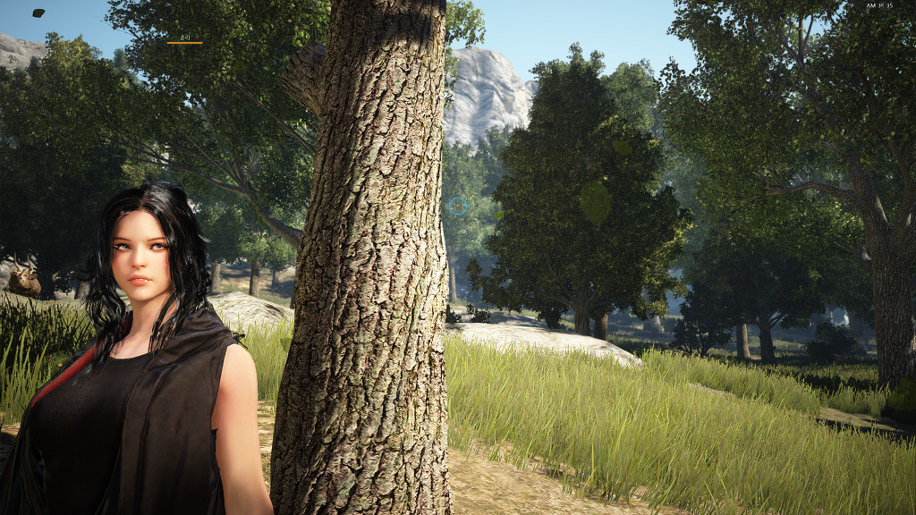 Black Desert: Hình ảnh "chất lừ" trong ngày đầu CBT - Ảnh 21