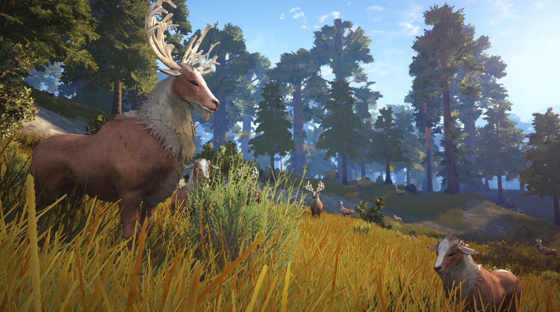 Loạt ảnh trong game cực chất của Black Desert - Ảnh 28