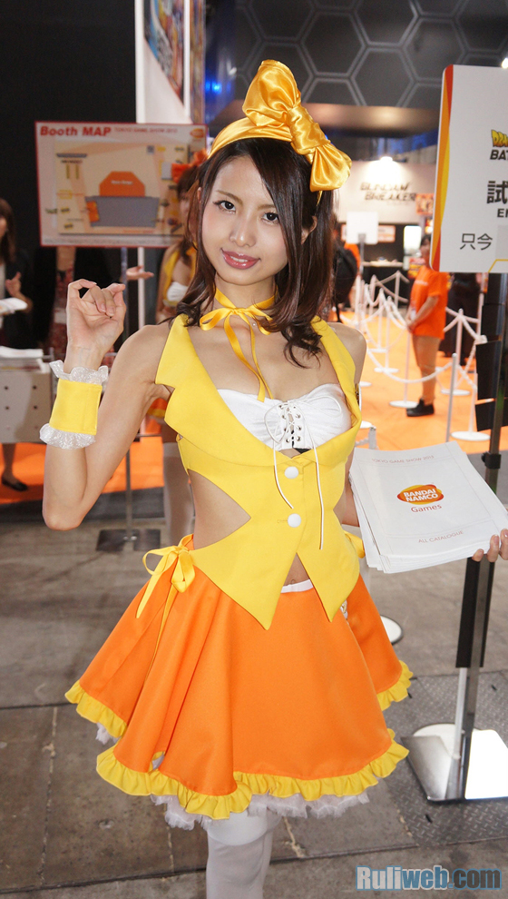 Chiêm ngưỡng showgirl tại Tokyo Game Show 2013 - Ảnh 25