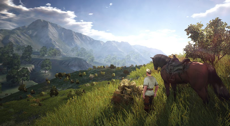 Black Desert mở cửa Closed Beta vào 17/10/2013 - Ảnh 13