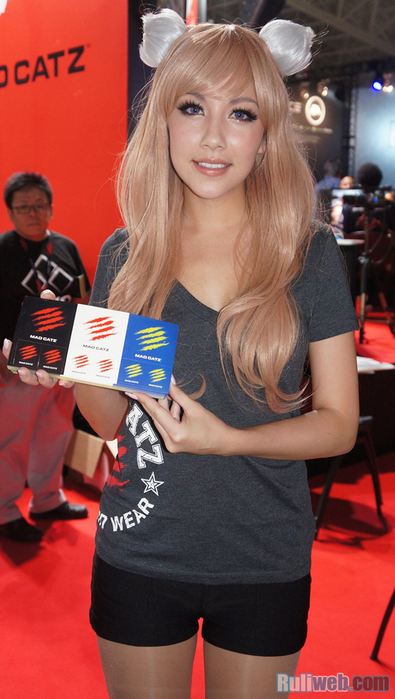 Chiêm ngưỡng showgirl tại Tokyo Game Show 2013 - Ảnh 8
