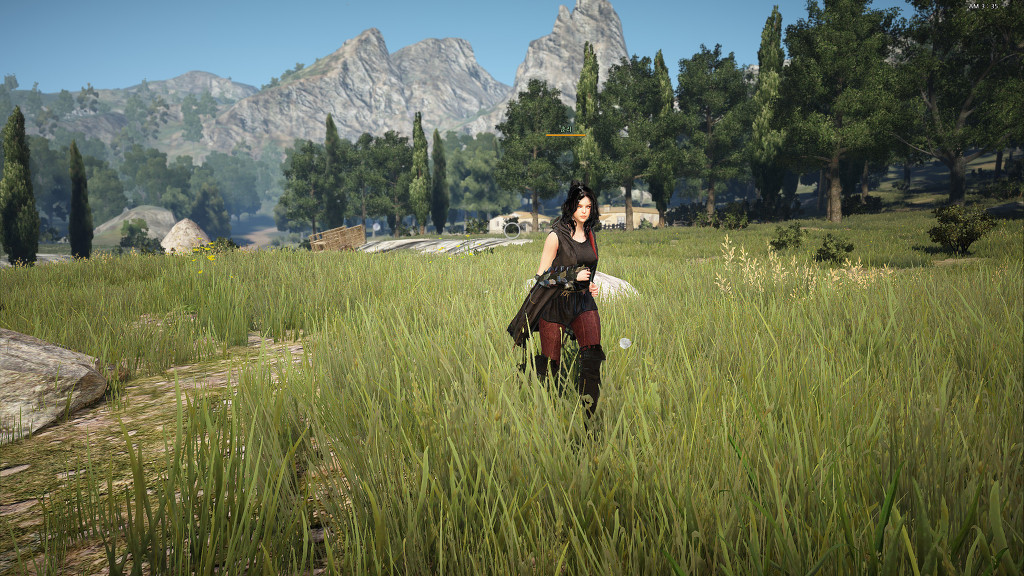 Black Desert: Hình ảnh "chất lừ" trong ngày đầu CBT - Ảnh 27