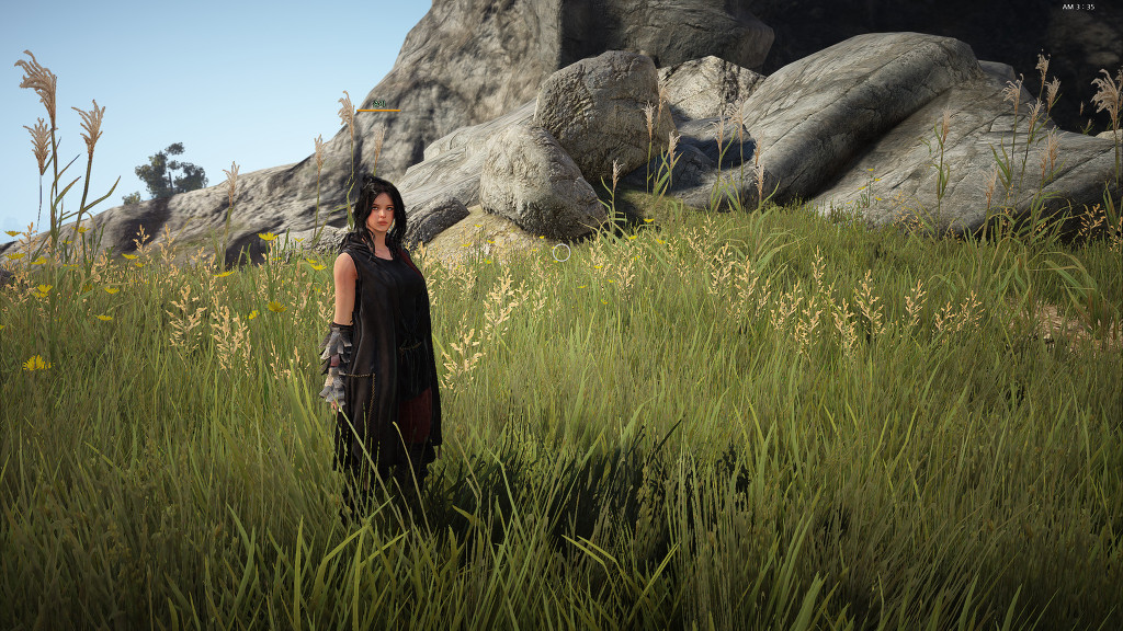 Black Desert: Hình ảnh "chất lừ" trong ngày đầu CBT - Ảnh 25