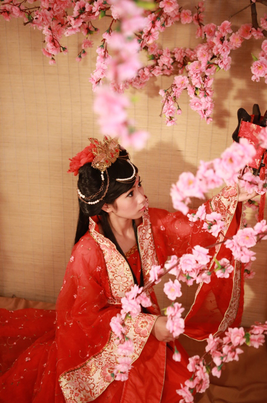 Mỹ nữ Việt quyến rũ với cosplay Thiên Địa Quyết - Ảnh 6
