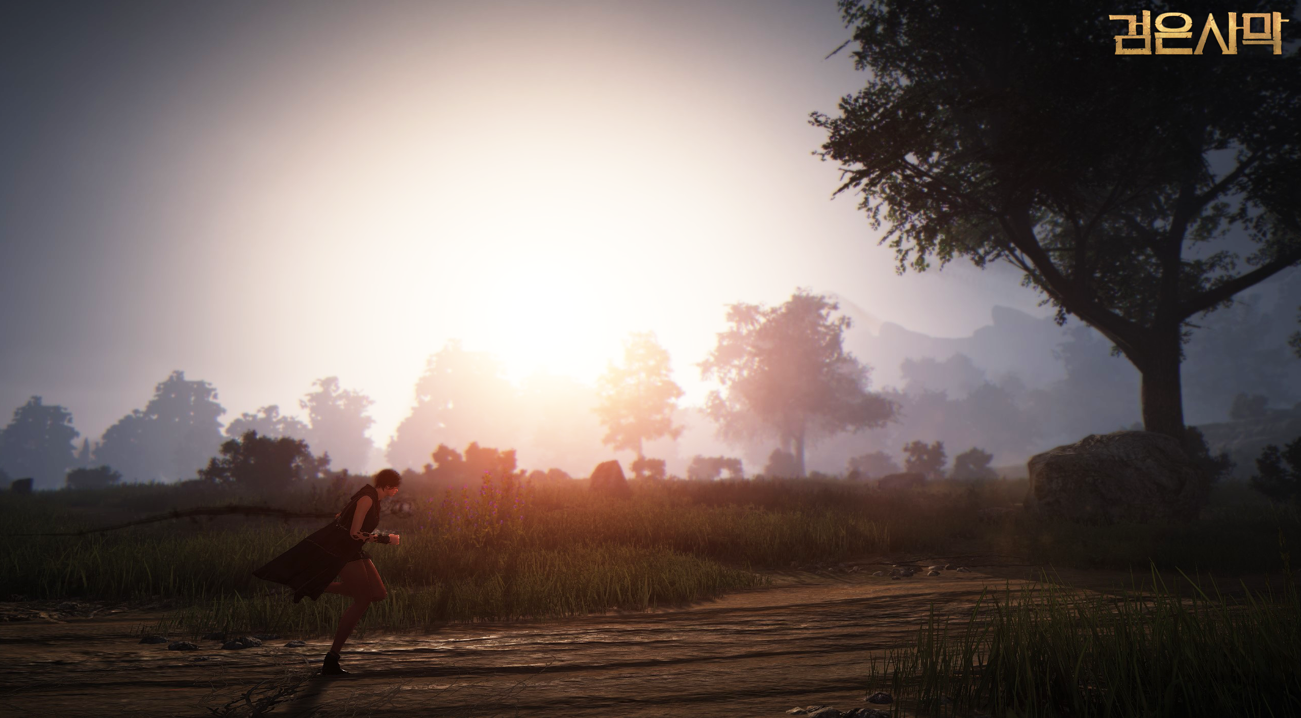 Daum Games hé lộ phiên bản CBT 3 của Black Desert - Ảnh 25