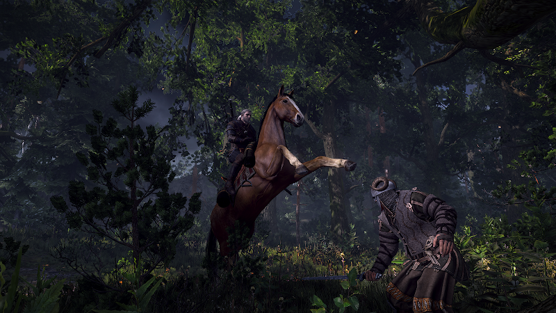 Ngắm loạt ảnh ấn tượng của The Witcher 3: Wild Hunt - Ảnh 12