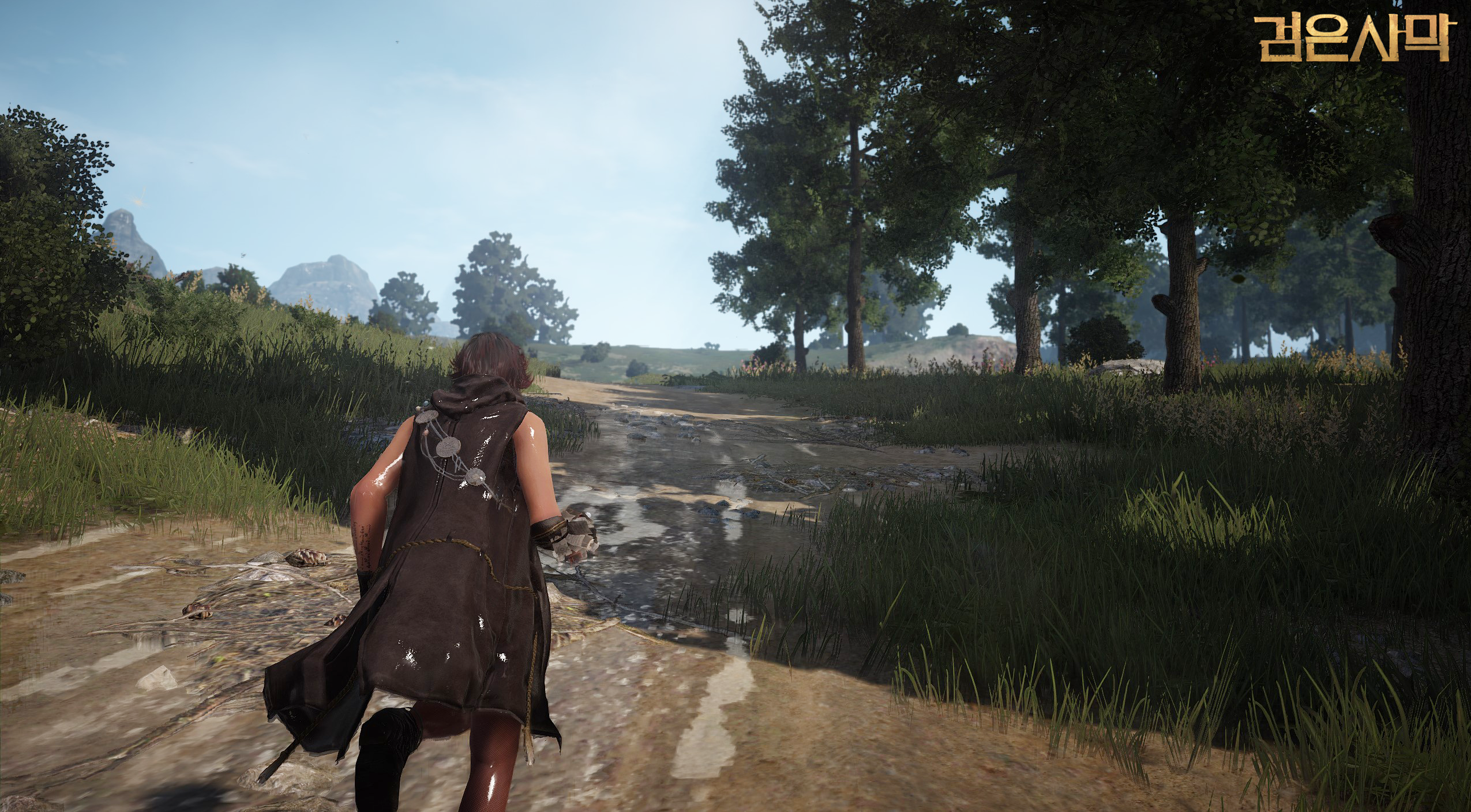 Daum Games hé lộ phiên bản CBT 3 của Black Desert - Ảnh 9