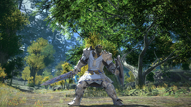Hình ảnh đẹp về các nghề nghiệp trong Final Fantasy XIV - Ảnh 224