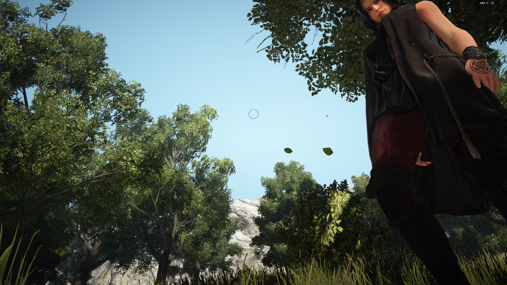 Black Desert: Hình ảnh "chất lừ" trong ngày đầu CBT - Ảnh 20