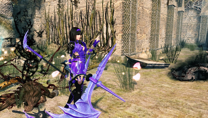 Mabinogi Heroes: Evie và lưỡi hái tử thần màu tím - Ảnh 58
